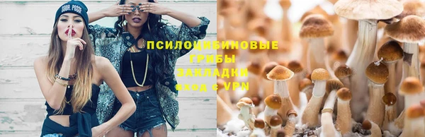 стаф Белокуриха