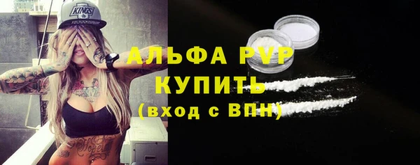 стаф Белокуриха