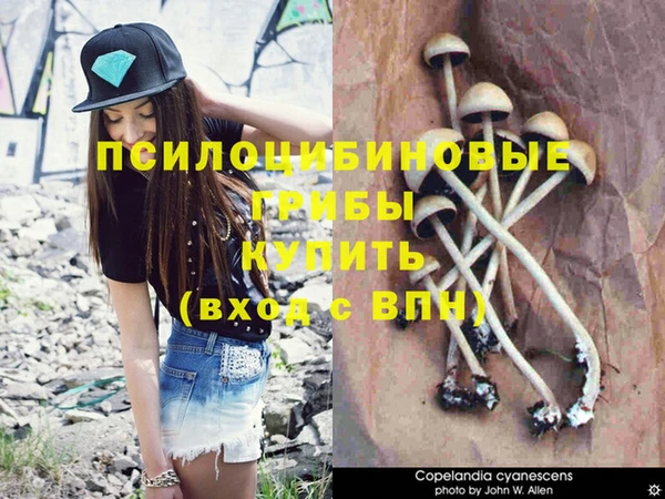 мдпв Чердынь