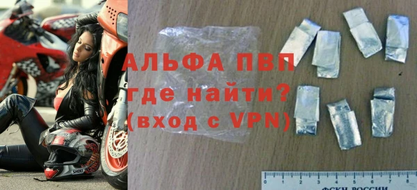 стаф Белокуриха
