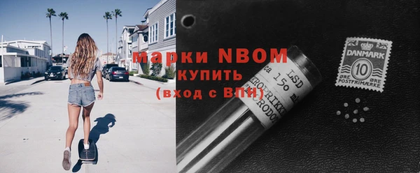 стаф Белокуриха